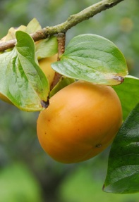 en_10_01.jpg