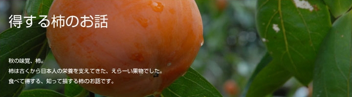 柿バーナー.jpg